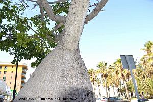 706- Torremolinos 